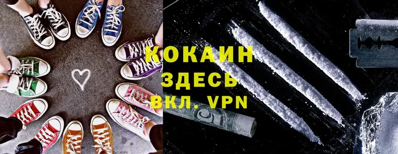 закладки  Нововоронеж  Cocaine Fish Scale 